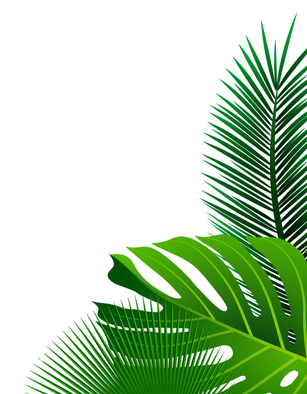 alhabibaglobalimpex.com