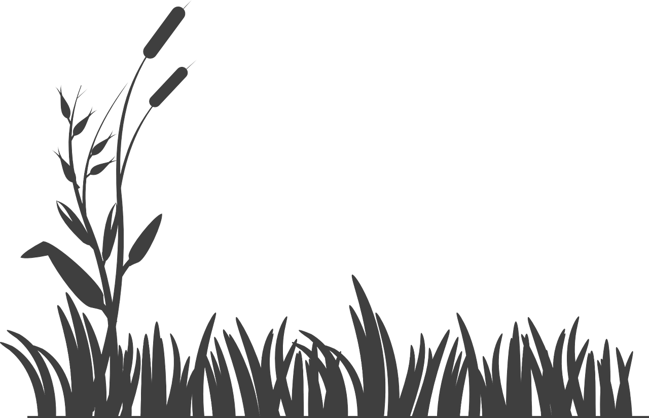 alhabibaglobalimpex.com