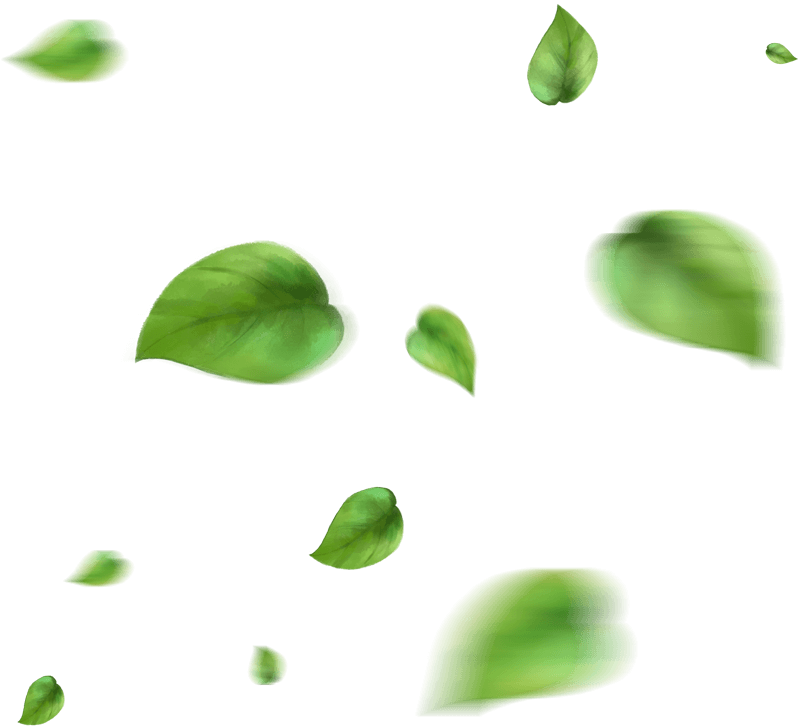 alhabibaglobalimpex.com