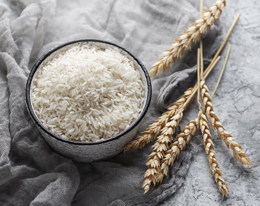 alhabibaglobalimpex.com